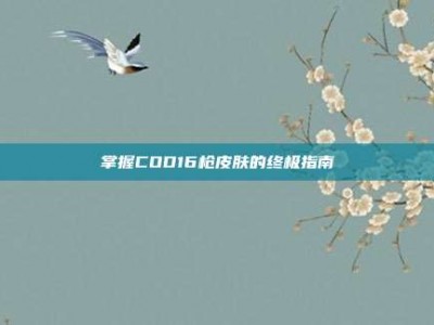 掌握COD16枪皮肤的终极指南