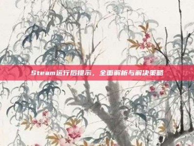 Steam运行后提示，全面解析与解决策略