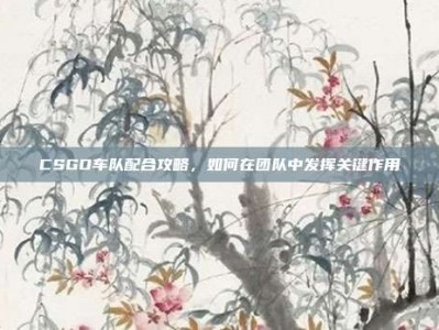 CSGO车队配合攻略，如何在团队中发挥关键作用