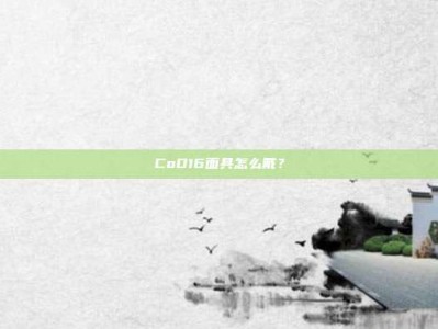 CoD16面具怎么戴？