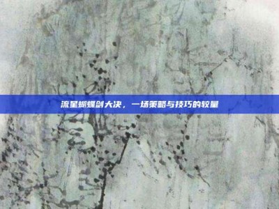 流星蝴蝶剑大决，一场策略与技巧的较量