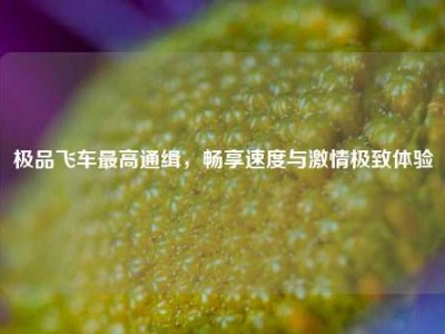 极品飞车最高通缉，畅享速度与激情极致体验