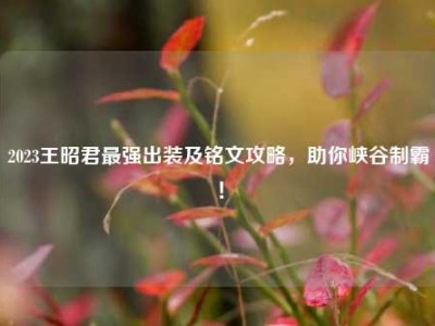 2023王昭君最强出装及铭文攻略，助你峡谷制霸！