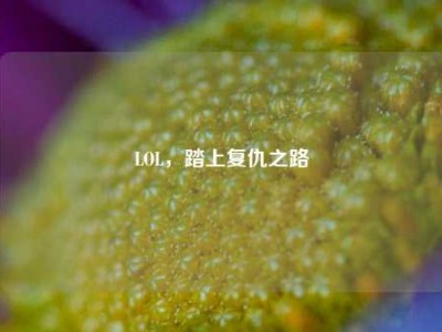 LOL，踏上复仇之路