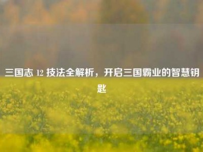 三国志 12 技法全解析，开启三国霸业的智慧钥匙