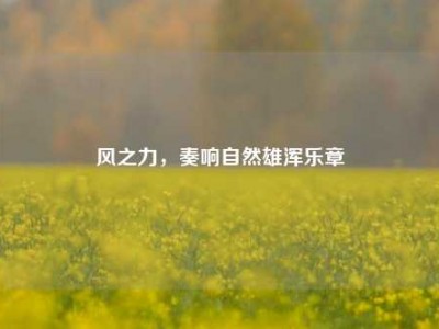 风之力，奏响自然雄浑乐章