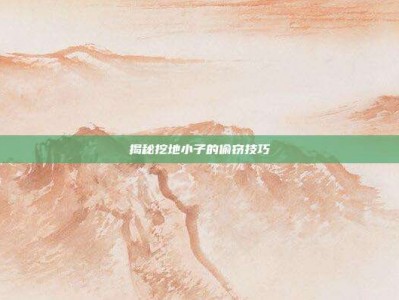 揭秘挖地小子的偷窃技巧