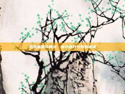 泡泡堂刷分精灵，高效提升分数的秘诀