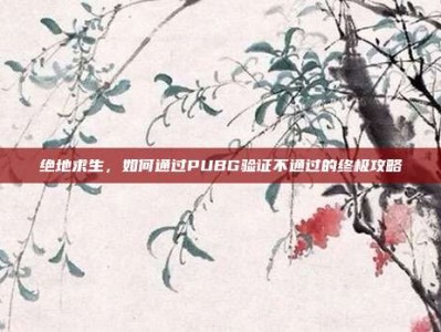 绝地求生，如何通过PUBG验证不通过的终极攻略