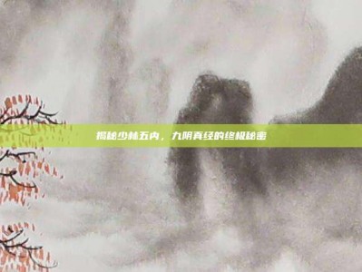 揭秘少林五内，九阴真经的终极秘密