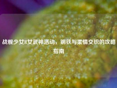战舰少女R女武神活动，钢铁与柔情交织的攻略指南
