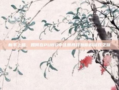 新手上路，如何在PUBG中注册并开始你的游戏之旅
