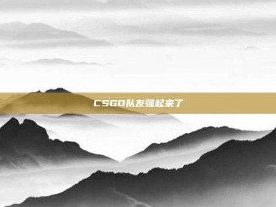 CSGO队友强起来了