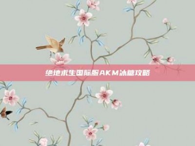 绝地求生国际服AKM冰糖攻略