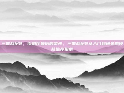 三国战纪2，街机厅最后的荣光，三国战纪2从入门到通关的硬核生存指南