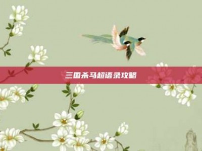 三国杀马超语录攻略