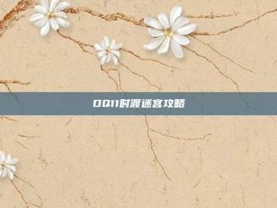 DQ11时渡迷宫攻略