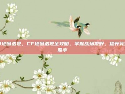 cf地图透视，CF地图透视全攻略，掌握战场视野，提升竞技胜率