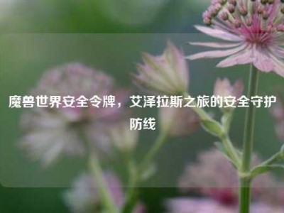 魔兽世界安全令牌，艾泽拉斯之旅的安全守护防线