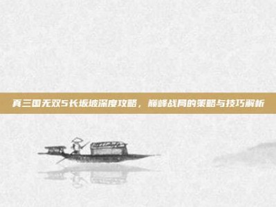 真三国无双5长坂坡深度攻略，巅峰战局的策略与技巧解析