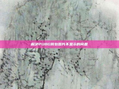 解决PUBG背包图片不显示的问题
