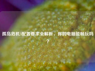 孤岛危机3配置要求全解析，你的电脑能畅玩吗？
