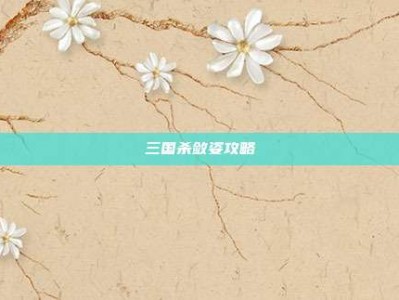 三国杀敛姿攻略