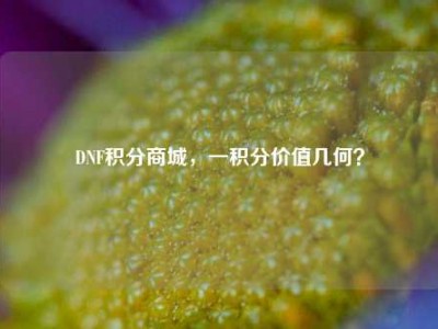 DNF积分商城，一积分价值几何？