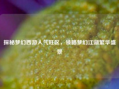 探秘梦幻西游人气旺区，领略梦幻江湖繁华盛景