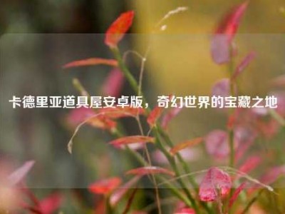 卡德里亚道具屋安卓版，奇幻世界的宝藏之地