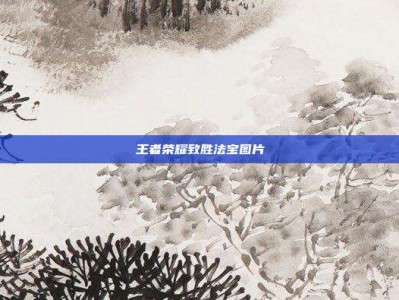 王者荣耀致胜法宝图片