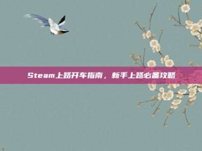 Steam上路开车指南，新手上路必备攻略