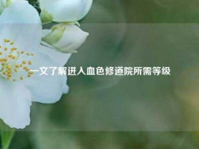 一文了解进入血色修道院所需等级