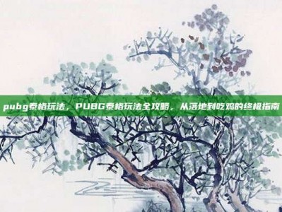 pubg泰格玩法，PUBG泰格玩法全攻略，从落地到吃鸡的终极指南
