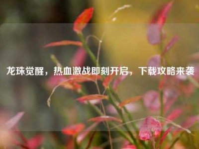 龙珠觉醒，热血激战即刻开启，下载攻略来袭