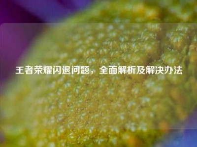 王者荣耀闪退问题，全面解析及解决办法