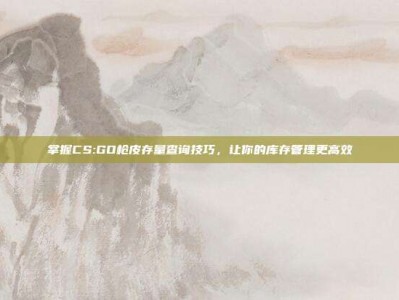 掌握CS:GO枪皮存量查询技巧，让你的库存管理更高效