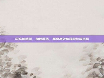 闪卒加速器，加速网络，畅享高效体验的终极选择
