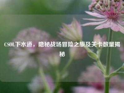 CSOL下水道，隐秘战场冒险之旅及关卡数量揭秘