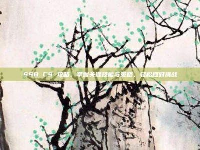 SSB C9 攻略，掌握关键技能与策略，轻松应对挑战