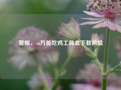 警惕，xa万能吃鸡工具盒下载风险