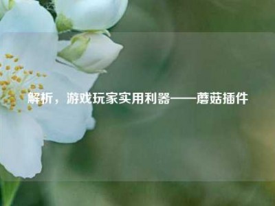 解析，游戏玩家实用利器——蘑菇插件