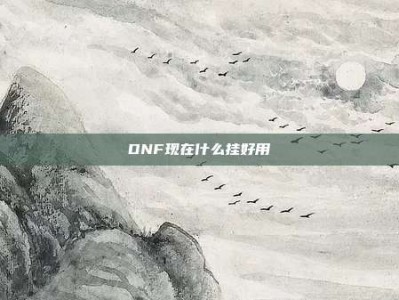 DNF现在什么挂好用