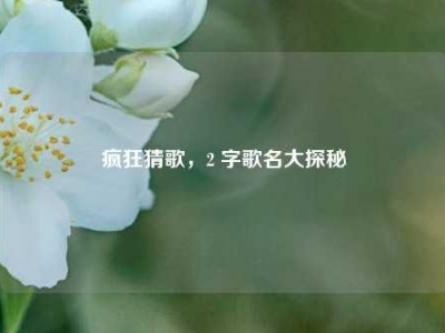 疯狂猜歌，2 字歌名大探秘