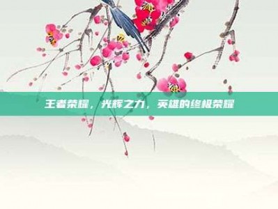 王者荣耀，光辉之力，英雄的终极荣耀