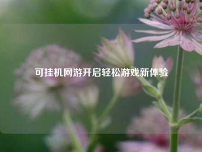 可挂机网游开启轻松游戏新体验