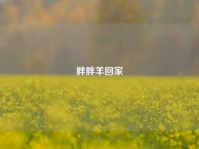 胖胖羊回家