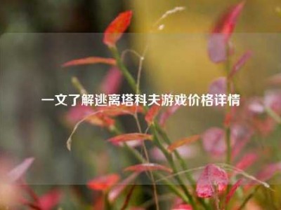 一文了解逃离塔科夫游戏价格详情