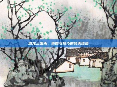 激龙三国杀，策略与技巧的完美结合