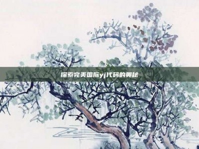 探索完美国际yj代码的奥秘